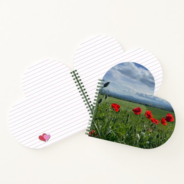 Cahier à spirale (Intérieur)