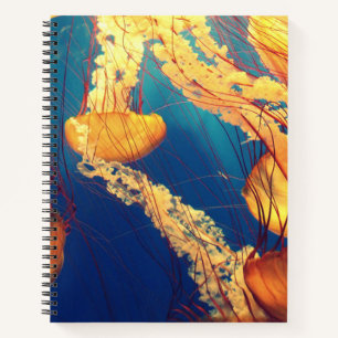 Cahier à spirale 21,59 cm x 27,94 cm