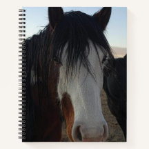 Cahier à spirale Cheveux dans les yeux