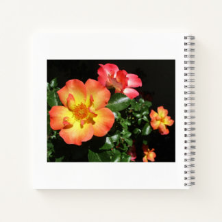 Cahier à spirale Dark Aspect - Roses orange vif