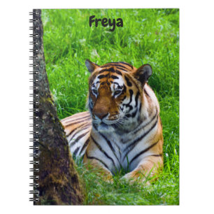Cahier à spirale du tigre de l'Amour