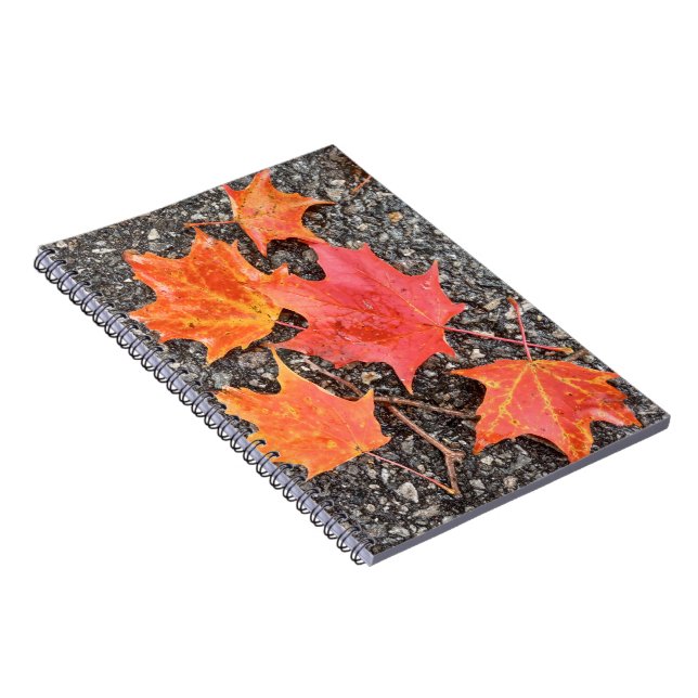 Cahier à spirale Feuilles d'érable d'automne (Côté Droit)