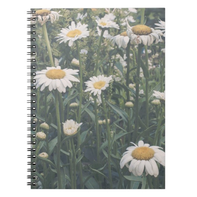 Cahier à spirales floral Champ de pâquerettes (Devant)