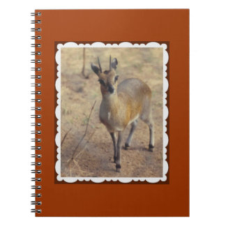 Cahier Au Zoo
