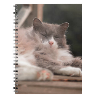 Cahier Chat Fluffy Endormi Cozy
