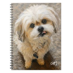 Cahier Chien Malshi