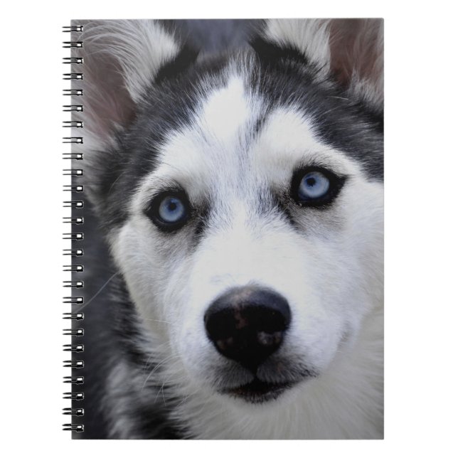 Cahier chiot husky (Devant)