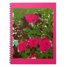Cahier Classique Lit de Roses