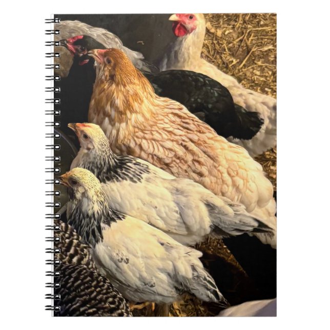 Cahier de poulets jolis (Devant)