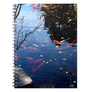Cahier d'étang aux carpes koï