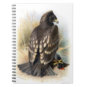Cahier Eagle tacheté vintage