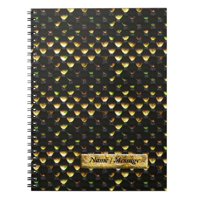 Cahier Écailles de Serpent 1B (Devant)
