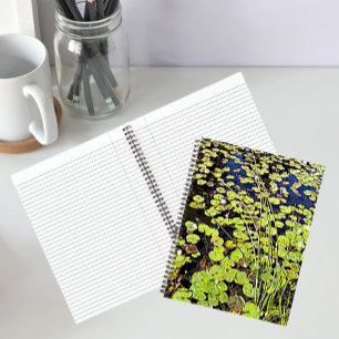 Cahier Floral de Nénuphars et de Roseaux