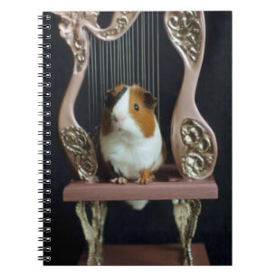 Cahier Harpe pour Cochon d'Inde – Livre de Contes