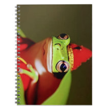 Cahier photo en spirale - Royauté forestière