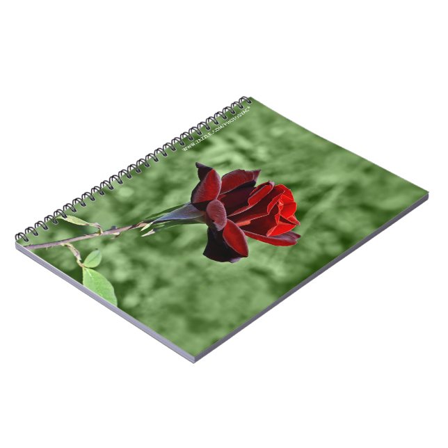 Cahier Rose Rouge (Côté gauche)