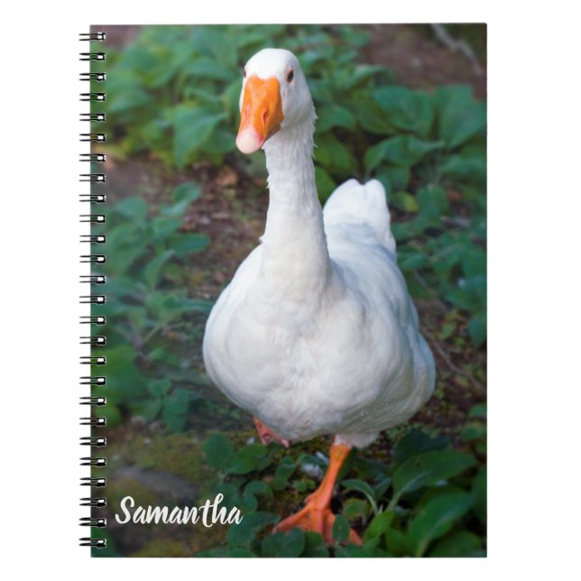 Cahier spirale Canard (Devant)