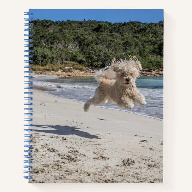Cahier Spirale Caniche (Devant)