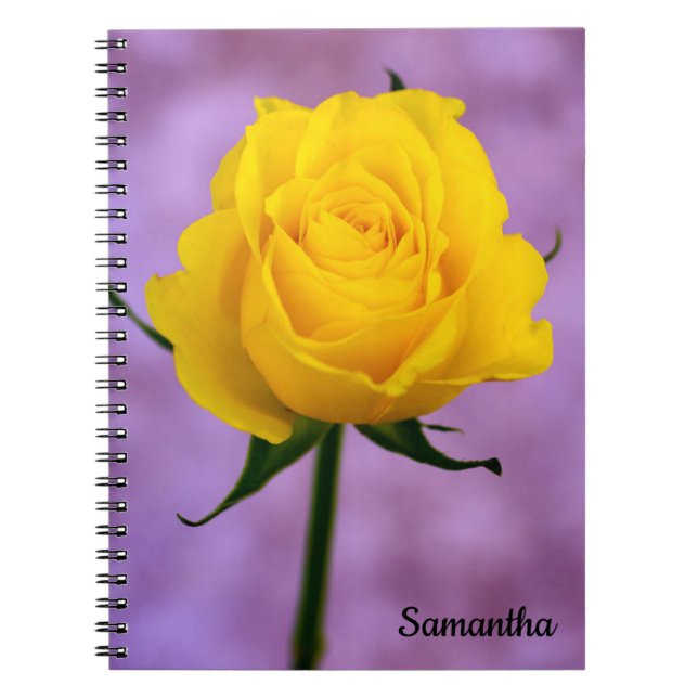 Cahier spiralé Single Yellow Rose (Devant)