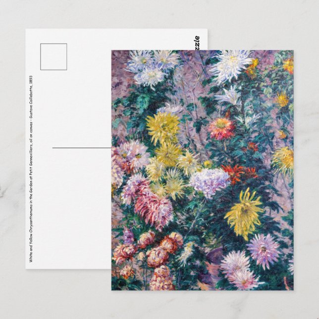 Caillebotte - White and Yellow Chrysanthemums Postcard (Front/Back)