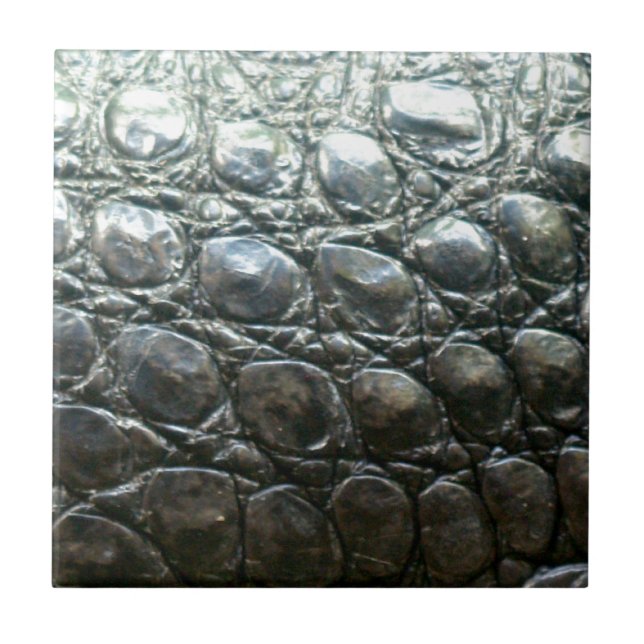 Caiman Crocodile Faux Alligator-Skin Design Tile (Front)