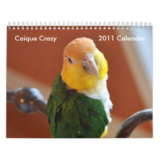 Caique Crazy 2011 Calendar