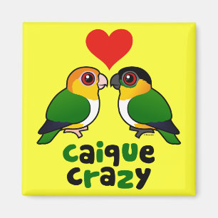Caique Crazy Magnet