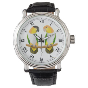 Caique Parrot Love Watch