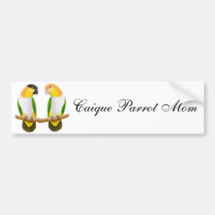 Caique Parrot Mom Bumper Sticker