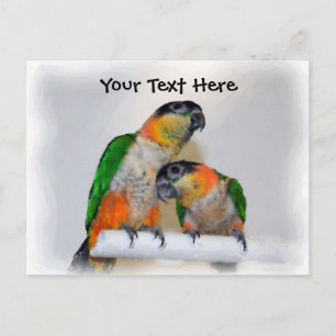 Caique Parrot Pair Customizable Postcard