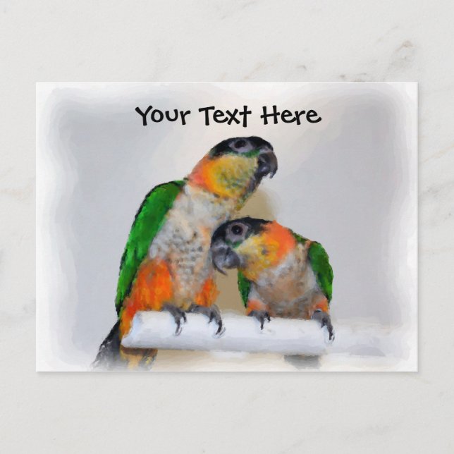 Caique Parrot Pair Customizable Postcard (Front)
