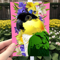Caique Parrot Pretty Spring Floral Pet Bird Love