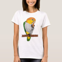 Caique Perching