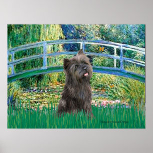Cairn (Brindle 21) - Lily Pond Bridge Poster