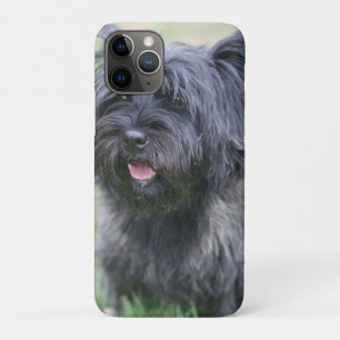 Cairn  iPhone 11 pro case