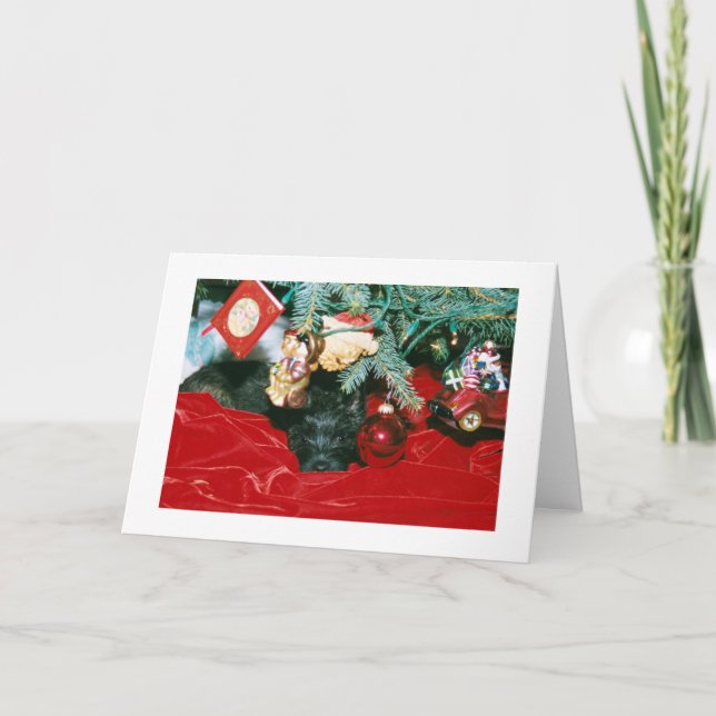 Cairn Christmas Holiday Card (Front)