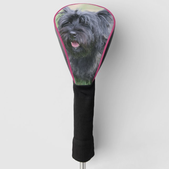 Cairn  golf head cover (Front)