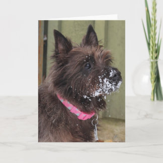 Cairn in snow card