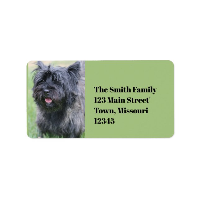 Cairn Label (Front)