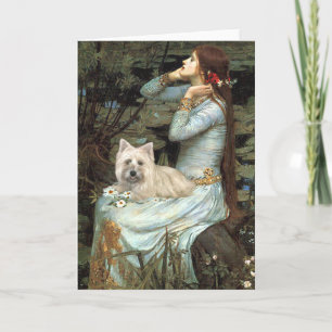 Cairn Terrier 4 — Ophelia Seated Holiday Card