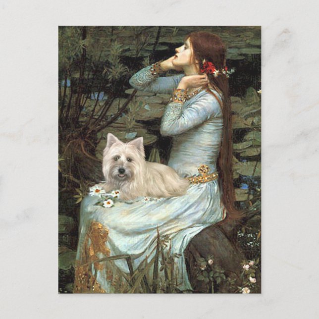 Cairn Terrier 4 - Ophelia Seated Postcard (Front)
