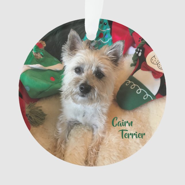 Cairn Terrier Acrylic Ornament (Front)