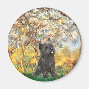 Cairn Terrier (Brindle 21) - Spring Magnet