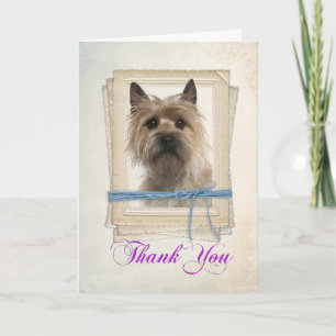 Cairn Terrier Carte de remerciements