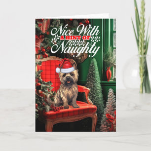 Cairn Terrier Christmas Dog Nice a Hint of Naughty Holiday Card