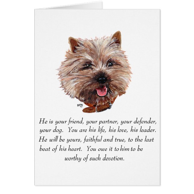 Cairn Terrier de Souvenir - Mâle (Devant)