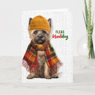 Cairn Terrier Dog Funny Fleas Navidog Christmas Holiday Card
