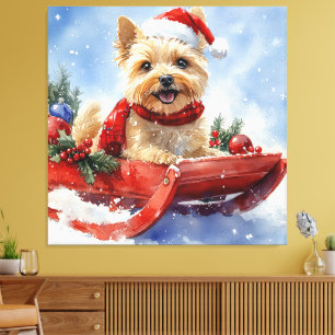 Cairn Terrier Dog in Sledge Let it Snow Christmas Canvas Print