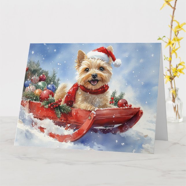 Cairn Terrier Dog in Sledge Let it Snow Christmas Card (Yellow Flower)