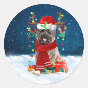 Cairn Terrier Dog in Snow with Christmas Gifts  Classic Round Sticker